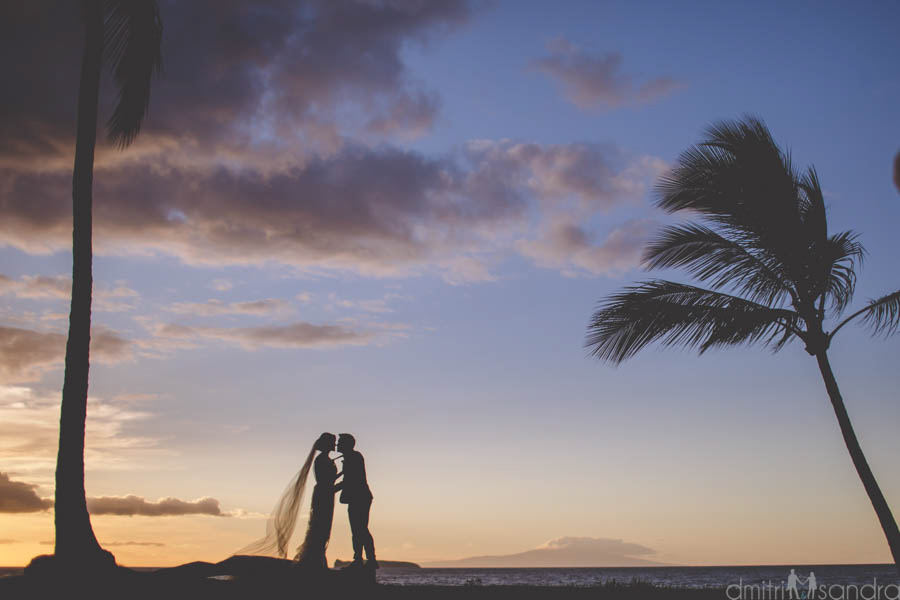 Sugarman Estate Maui wedding planner