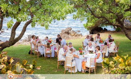 Maui Morning Wedding at the Kukahiko Estate