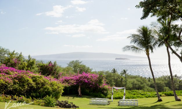 Gannon’s Wailea Maui Wedding of Luka + Steven