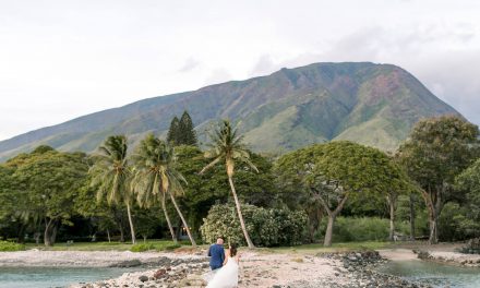 Olowalu Maui Wedding: Stacy + Daniel