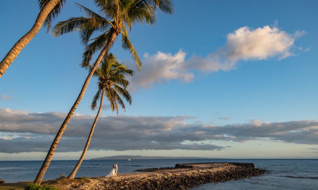 Tropical Wedding at the Olowalu Plantation House