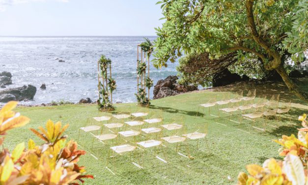 Whimsical Maui Wedding at the Kukahiko Estate