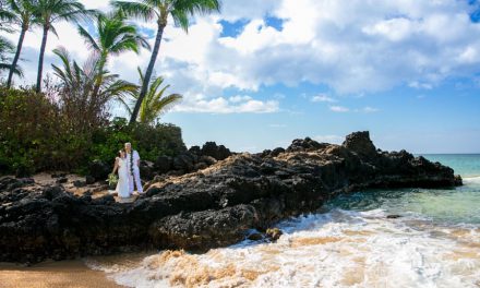 Why You Should Elope on Maui